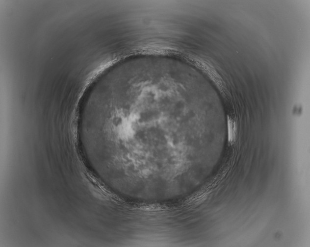 X0000095510675200712141424