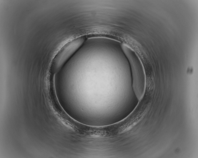 X0000095510676200712141424