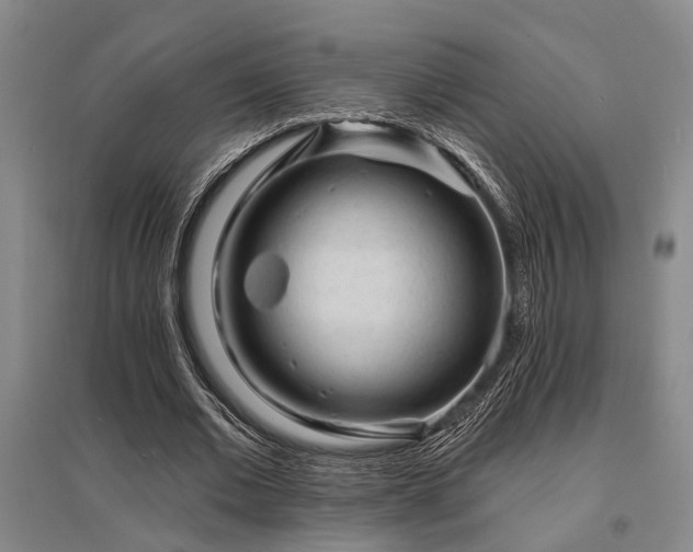 X0000095510677200712141424