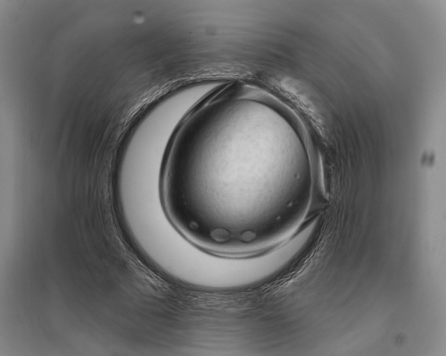 X0000095510681200712141424