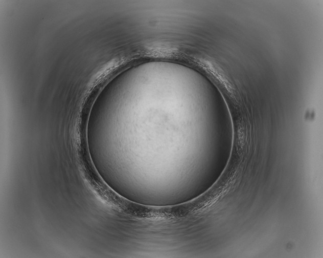 X0000095510682200712141424
