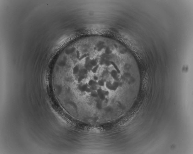 X0000095510683200712141424