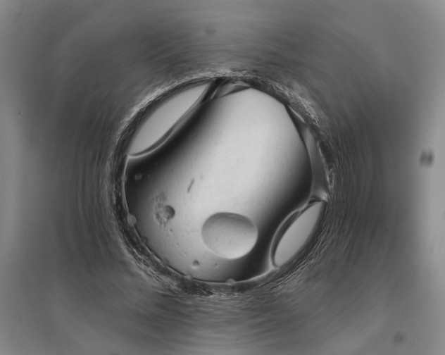 X0000095510684200712141424