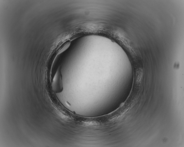 X0000095510685200712141424