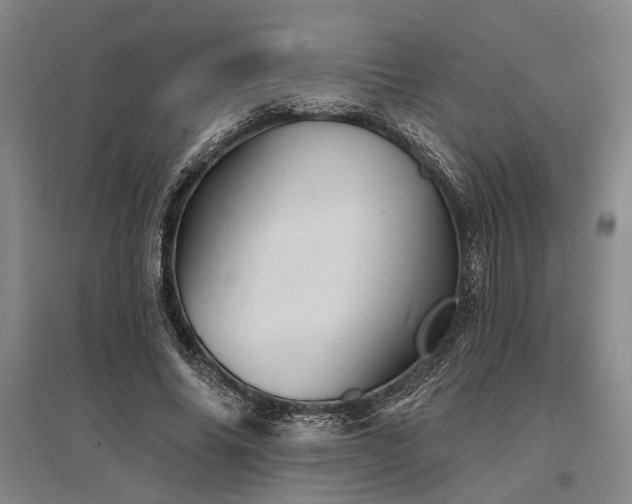 X0000095510686200712141424