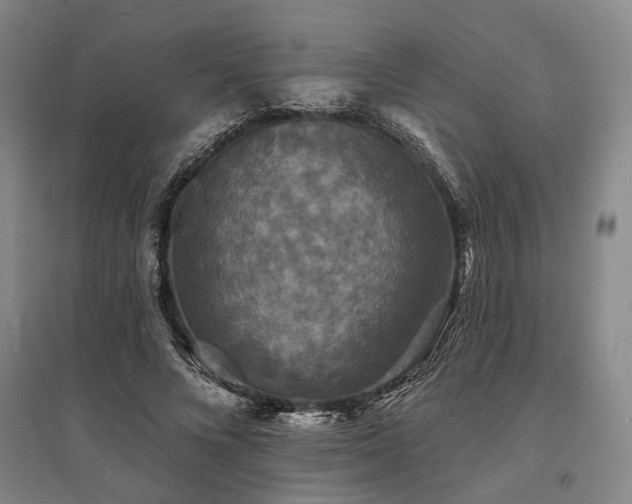 X0000095510688200712141424