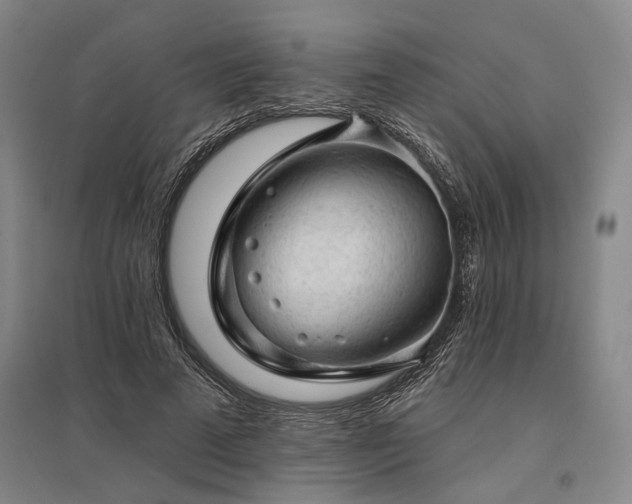X0000095510689200712141424