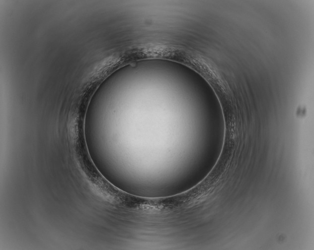 X0000095510690200712141424