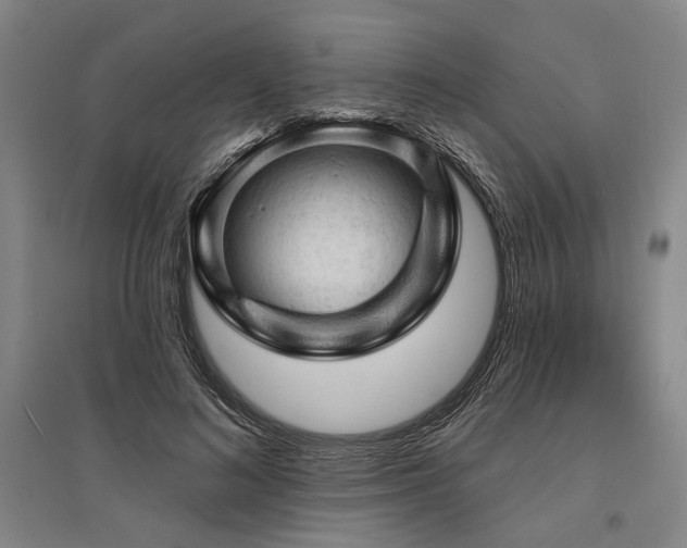 X0000095510692200712141424