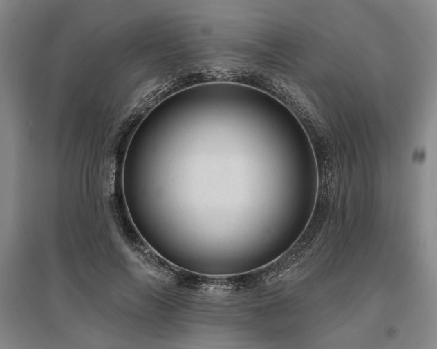 X0000095510694200712141424