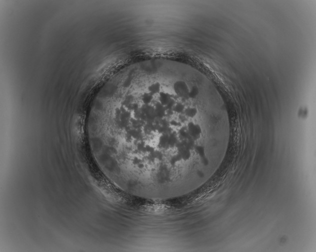 X0000095510695200712141424