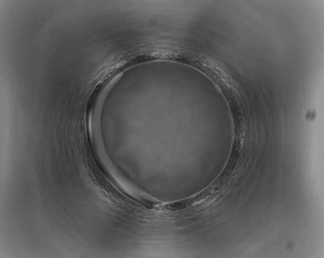 X0000095510696200712141424