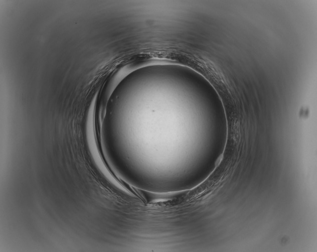 X0000095510697200712141424