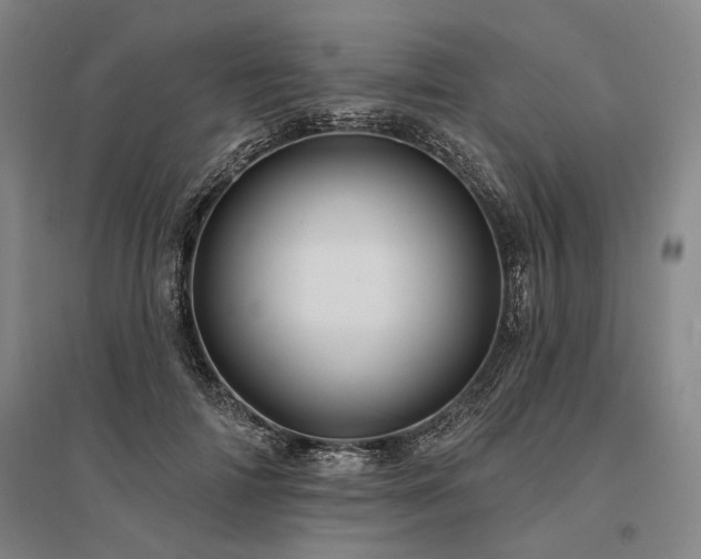 X0000095510698200712141424