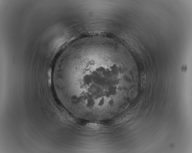X0000095510699200712141424