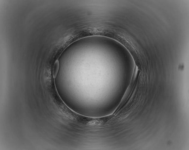 X0000095510700200712141424