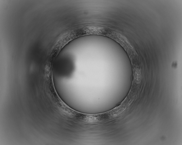 X0000095510701200712141424
