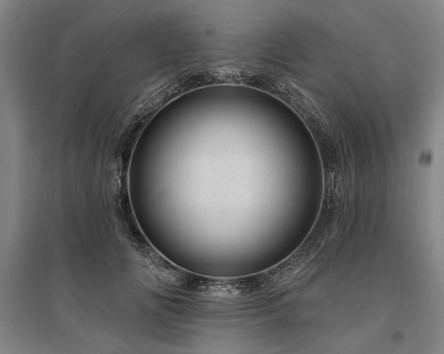 X0000095510702200712141424