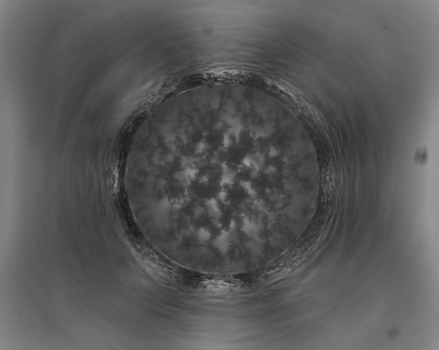 X0000095510703200712141424