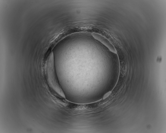 X0000095510704200712141424