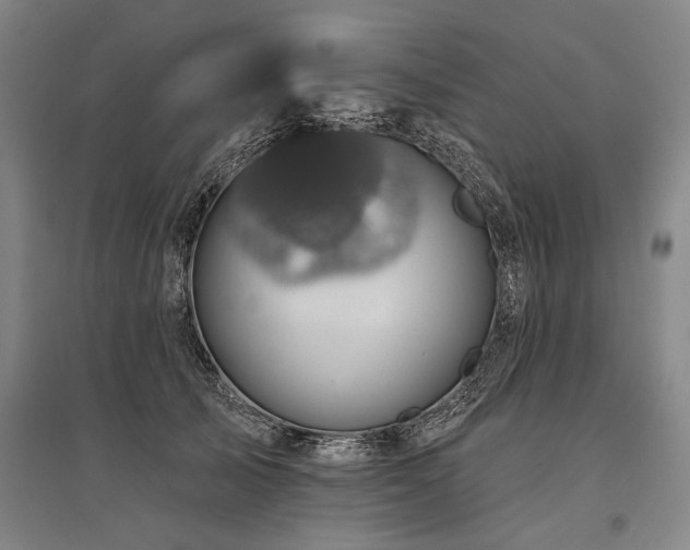 X0000095510705200712141424
