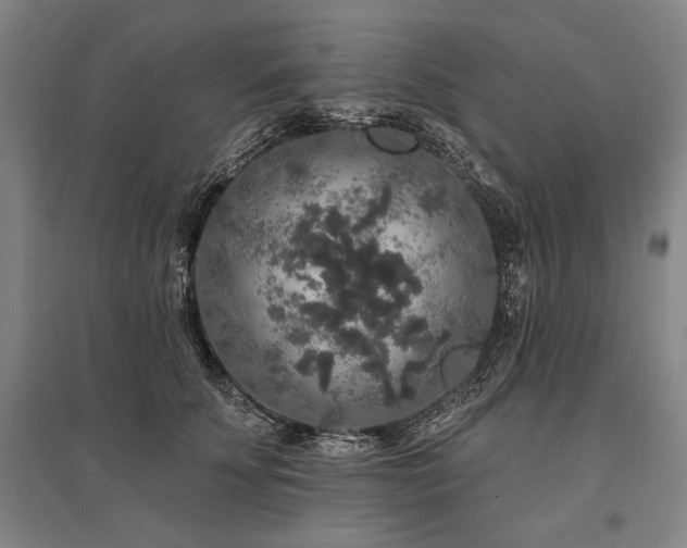 X0000095510707200712141424