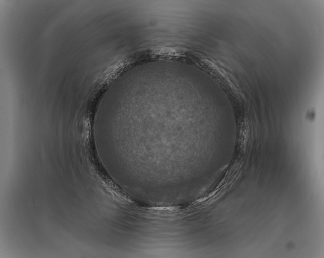 X0000095510708200712141424