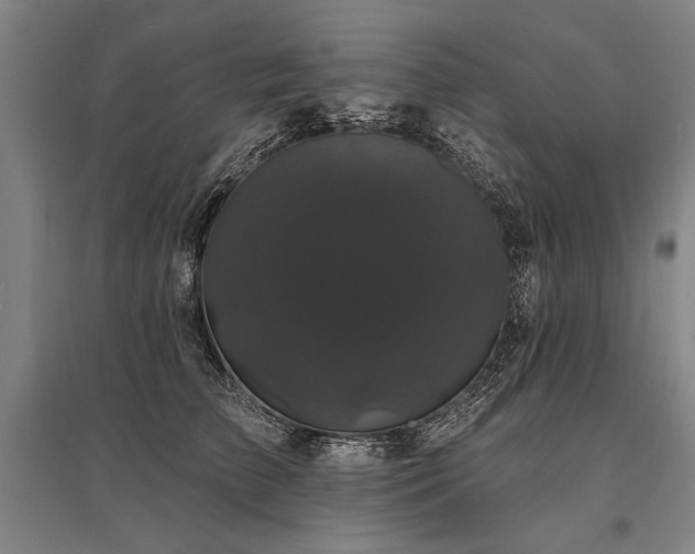 X0000095510709200712141424