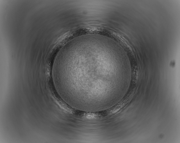 X0000095510710200712141424
