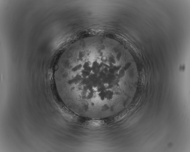X0000095510711200712141424