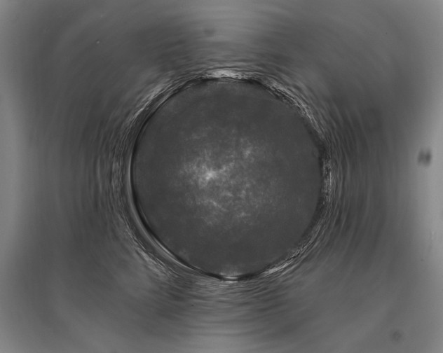 X0000095510712200712141424