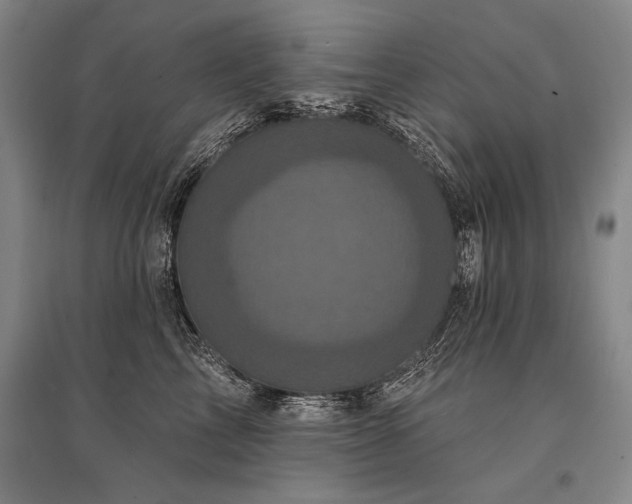 X0000095510713200712141424
