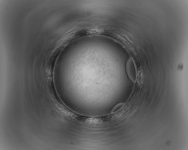 X0000095510714200712141424