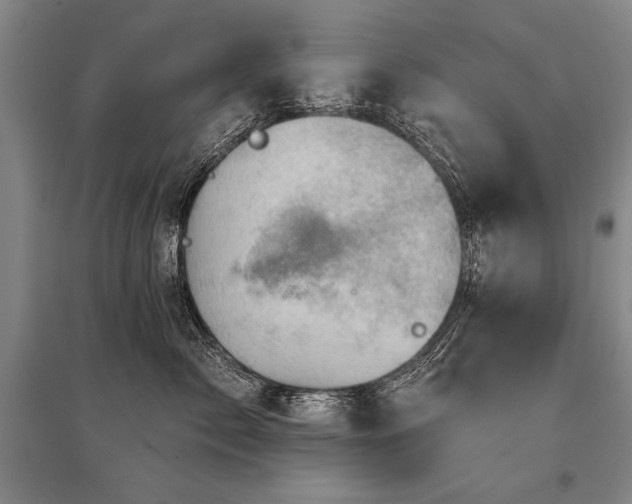 X0000095510717200712141423