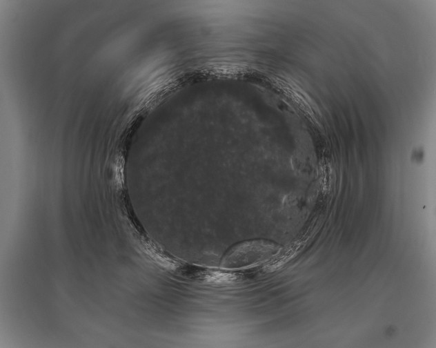 X0000095510718200712141423