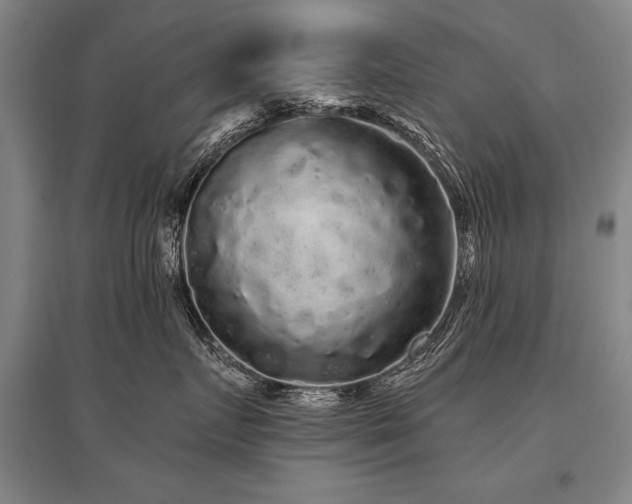 X0000095510719200712141423