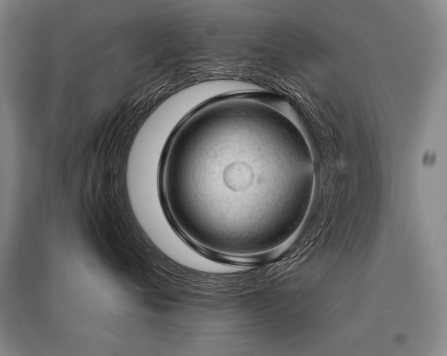 X0000095510720200712141423