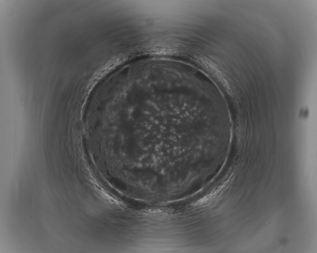 X0000095510721200712141423