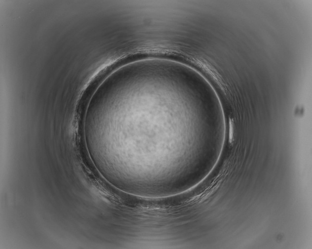 X0000095510723200712141423