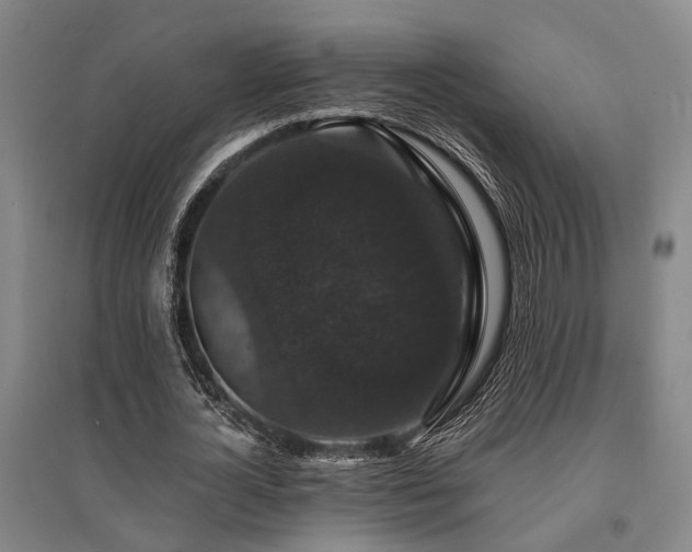 X0000095510724200712141423