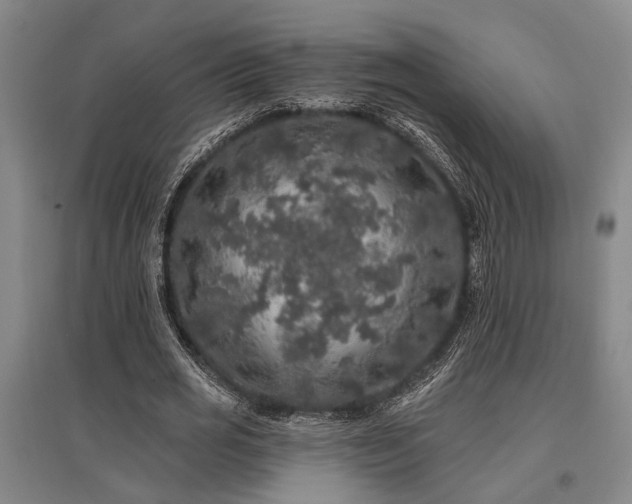 X0000095510725200712141423