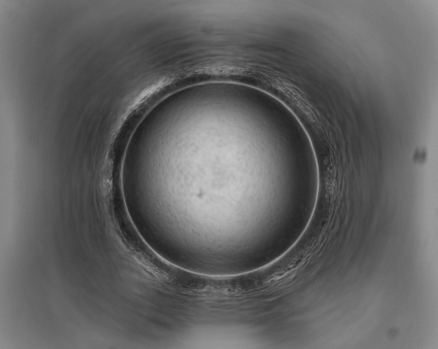 X0000095510727200712141423