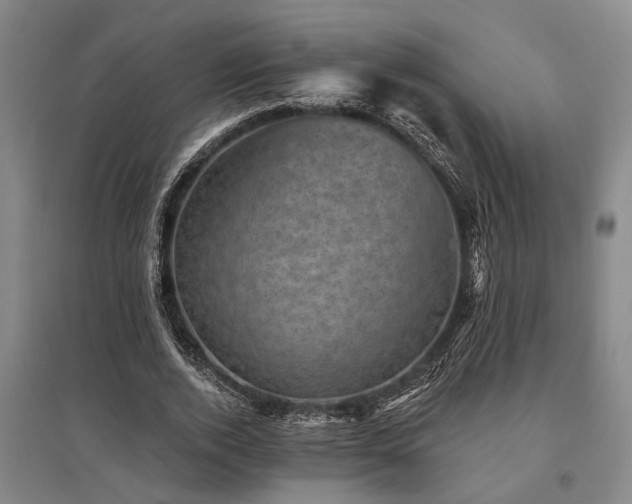 X0000095510728200712141423