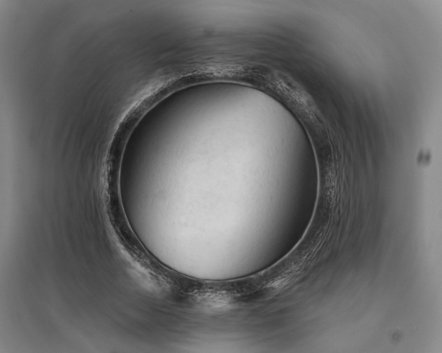 X0000095510730200712141423