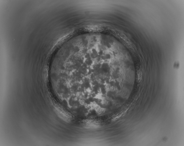 X0000095510733200712141423