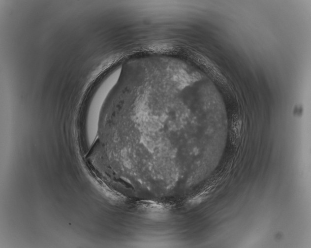 X0000095510734200712141423