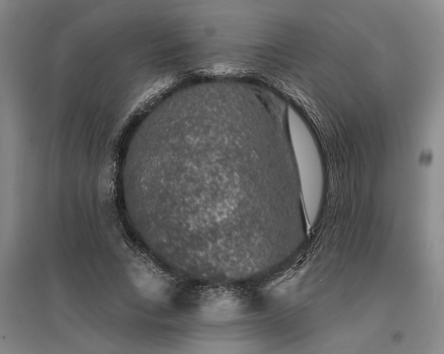 X0000095510735200712141423