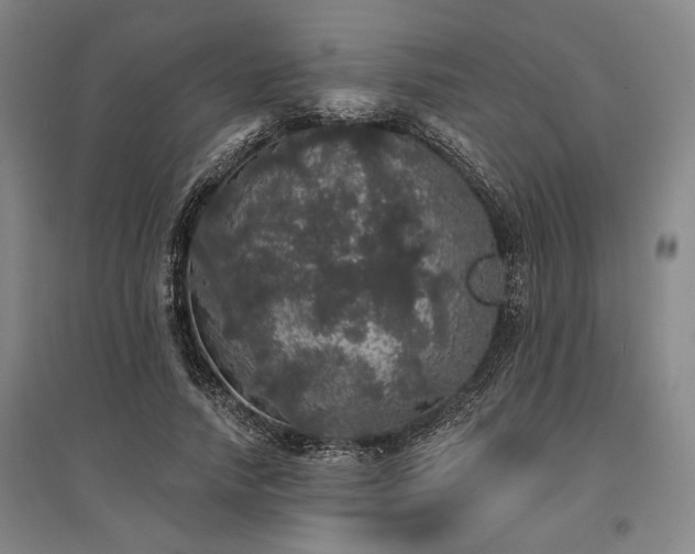 X0000095510738200712141423