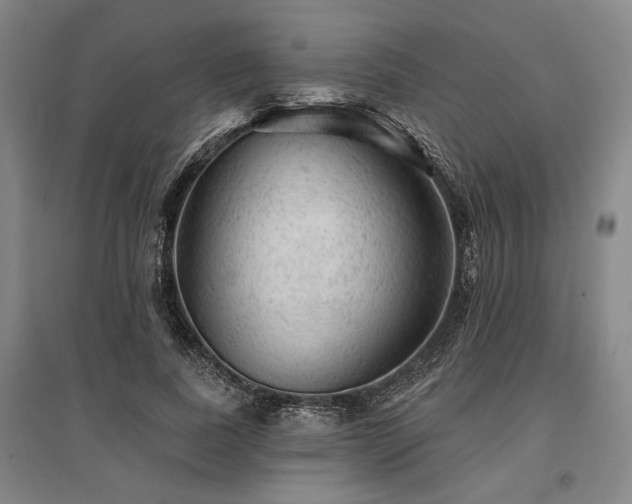 X0000095510739200712141423