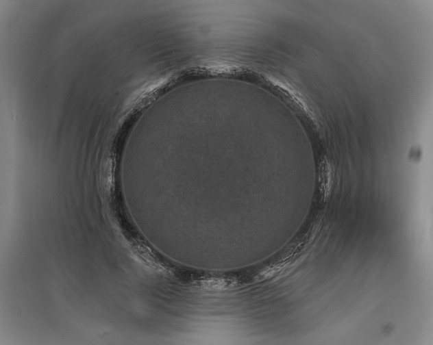 X0000095510740200712141423